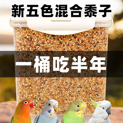 鹦鹉鸟粮饲料谷子牡丹虎皮玄凤粮食文鸟珍珠专用带壳五色黍子黄米