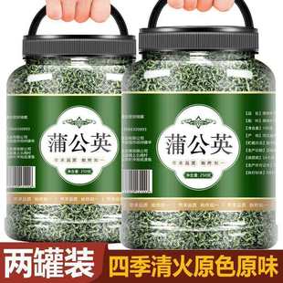 蒲公英原生态整棵带根干净无杂婆婆丁黄黄苗干品蒲公英天然蒲公英