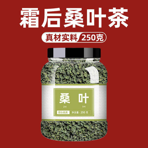 霜后桑叶茶桑树叶降桑葚三高