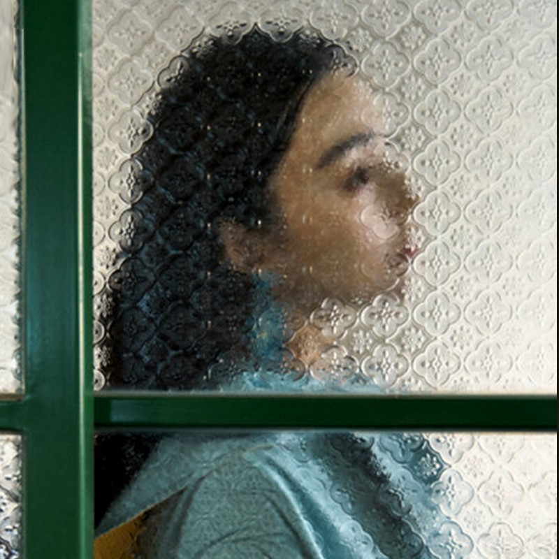 速发海棠花玻璃贴透中式复古窗户老柜子装不翻新贴膜纸光饰透明防