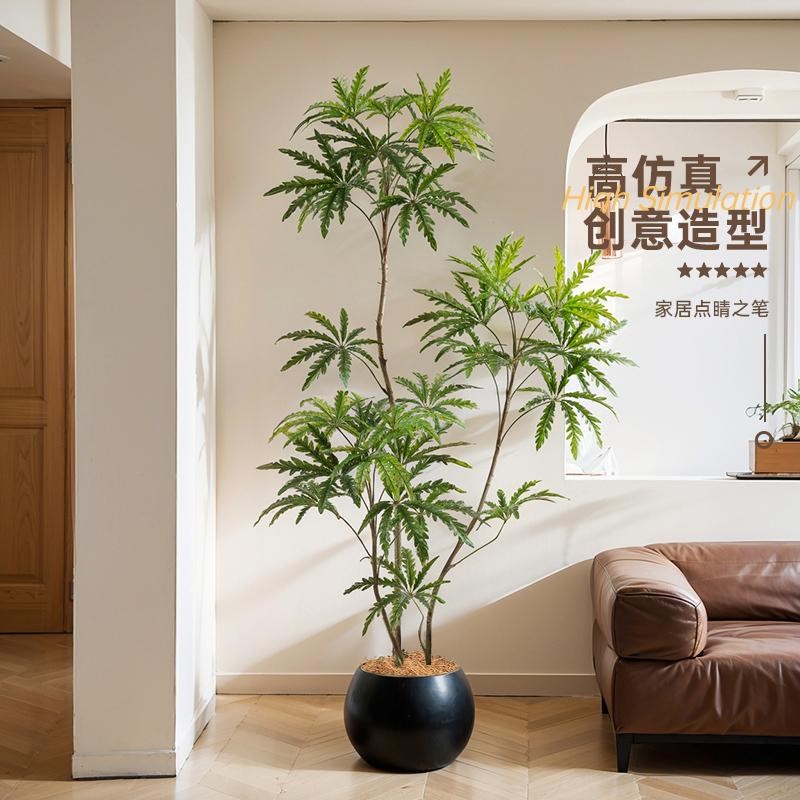 速发孔雀木高端厅奢室内装轻沙发边客饰办公室高品质仿生假绿植物