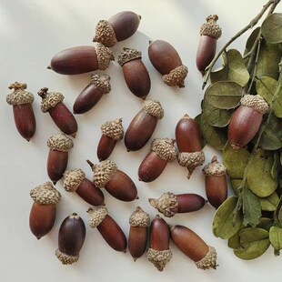 速发森工大橡子大橡果装花手系干饰挂件节日布景幼儿园环创摆件