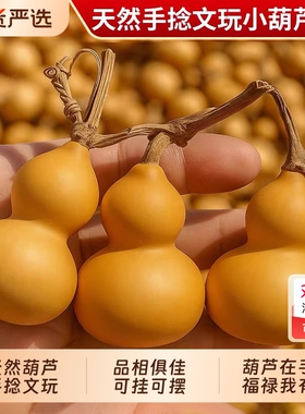 天然小葫芦文玩葫芦手把件带龙头