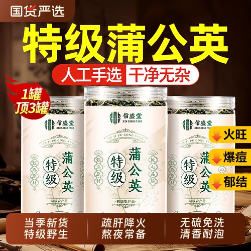 特级蒲公英茶中药材新鲜消野生清下去热火泡水喝肝正品官方旗舰店