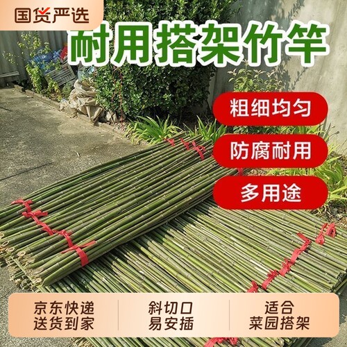 小竹杆子菜园搭架子围栏豆角黄瓜西瓜西红柿支架装修装饰篱笆旗杆
