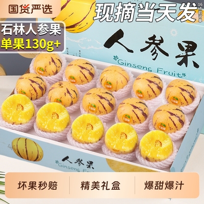 精美礼盒丨石林人参果丨新鲜水果