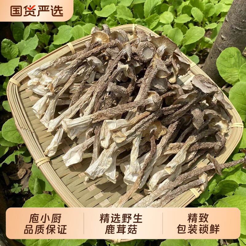 鹿茸菌新货鹿茸菇无硫新鲜香菇干货福建特产鹿茸菇可批发煲汤食材