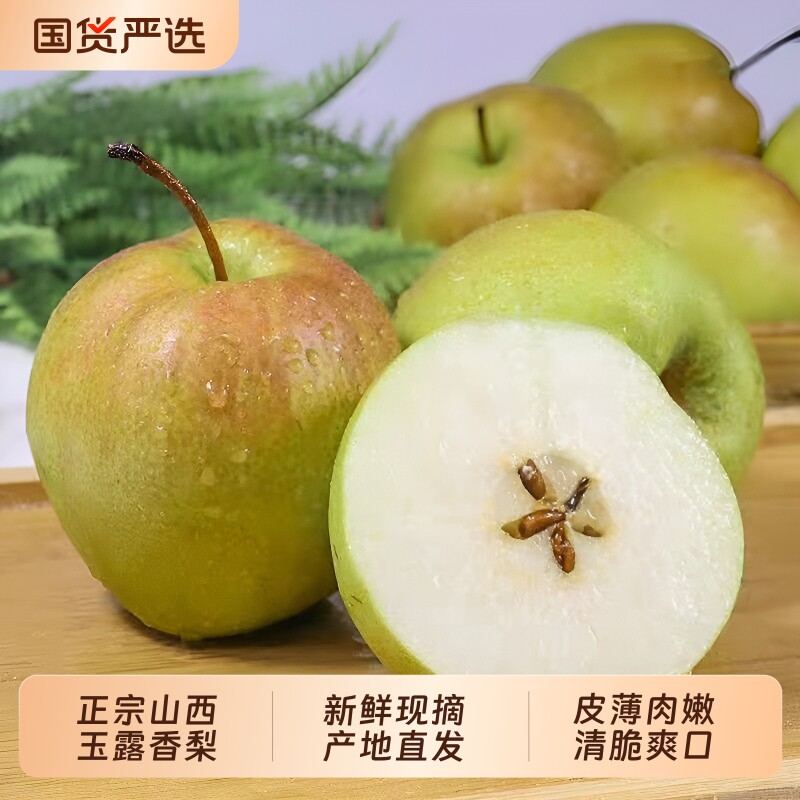 正宗山西玉露香梨脆甜多汁酥梨薄皮雪梨现摘大果新鲜应季孕妇水果