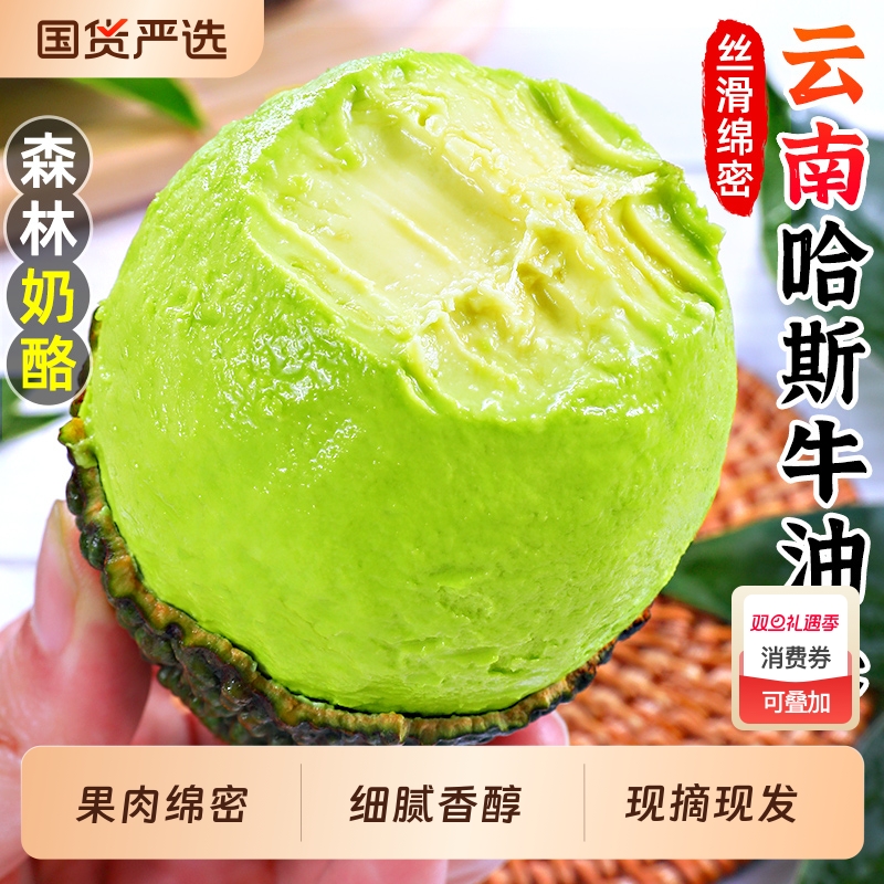 喜仕鲜云南哈斯牛油果10枚