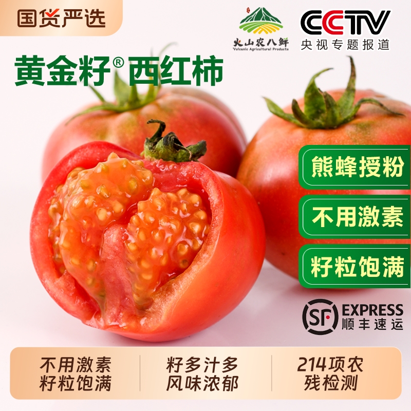 新鲜现摘黄金籽西红柿番茄正宗水果番茄自然熟顺丰4.8斤