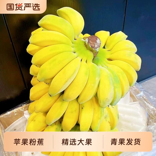 [超值]正宗苹果粉蕉新鲜应季水果孕妇宝宝辅食香蕉自然熟整箱包邮