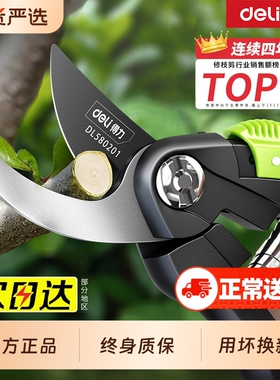 得力剪枝剪刀园林花艺修剪树枝剪刀果树剪刀粗大花剪园艺花卉剪子