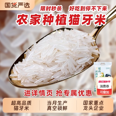 猫牙米长粒香大米5斤新米