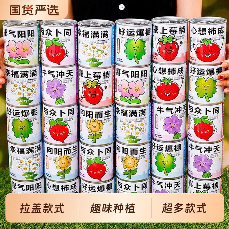 小盆栽桌面罐头小学开学毕业幼儿园全班分享小礼物送学生加油励志图片