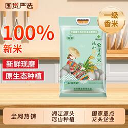 瑶珍象牙香米2025新米长粒香超长猫牙香大米米茉莉香10斤瑶山生态