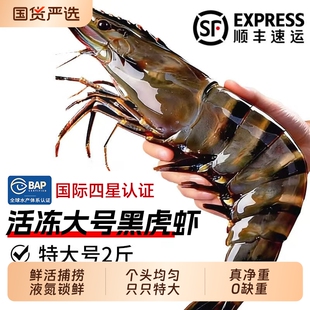 黑虎虾鲜活速冻超大老虎虾特大对虾基围虾鲜虾海虾冷冻竹斑九节虾