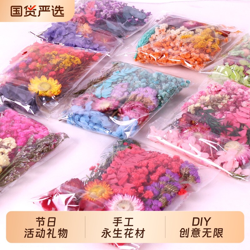 天然干花永生花假花仿真花儿童手工diy团扇材料包装饰教师节礼物