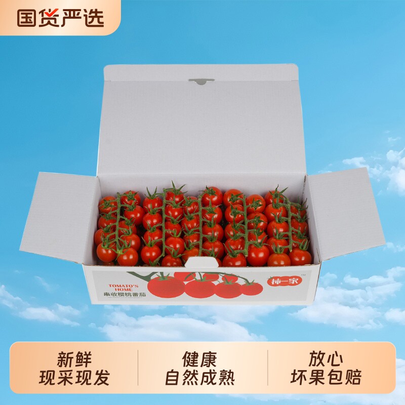 新鲜樱桃番茄900g|超4000次加购