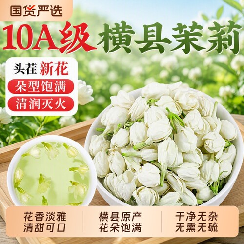 茉莉花2026当季新花横县茉莉花蕾