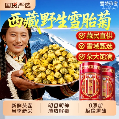 西藏野生胎菊特级天然胎菊花茶去火清热解毒正品官方旗舰店中药材