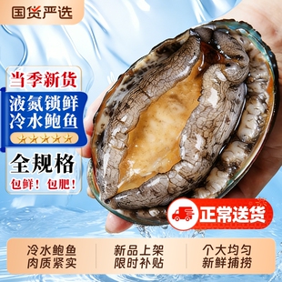 鲍鱼鲜活冷冻青岛崂山新鲜海鲜水产特大加热即食小鲍鱼汁速冻液氮