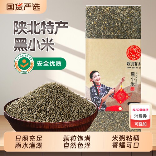 陕北女子黑小米黄小米陕西农家煮粥粘稠软糯小米山地种植品质正宗