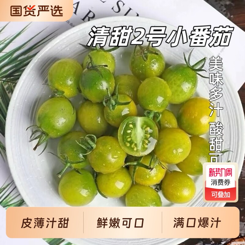 【胡鲜森】现摘清甜2号小番茄新鲜当季水果圣女果千禧小柿子