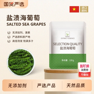 盐渍海葡萄儿童新鲜即食无添加剂海带海藻龙须菜凉拌菜官方旗舰店