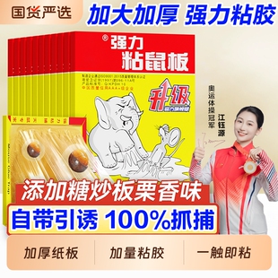 粘鼠板老鼠粘强力胶粘大老鼠贴家用室内正品扑捉器灭捕鼠爆款神器