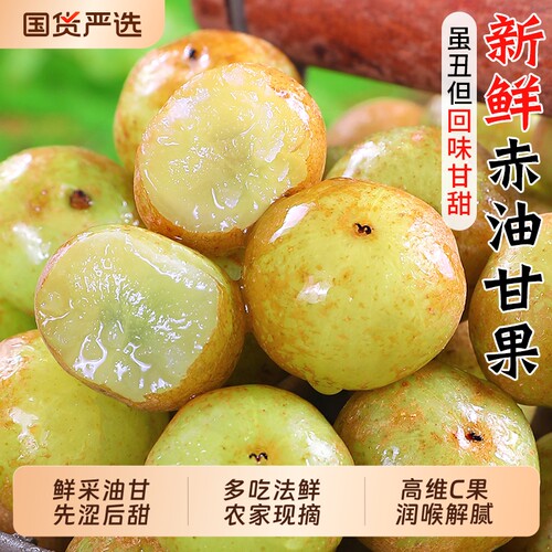 新鲜油甘果5斤包邮|超2000次加购