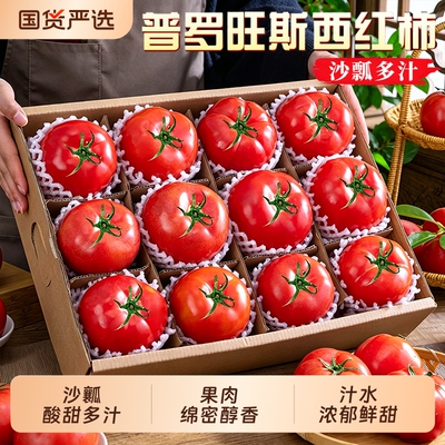 陕西泾阳普罗旺斯沙瓤西红柿
