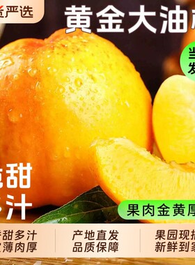 黄金油桃5斤新鲜水果当季现摘黄肉蜜桃脆甜桃子时令大果顺丰包邮3