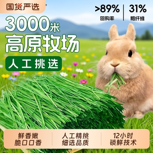 提摩西烘干草段北提兔子龙猫粮食荷兰猪豚鼠宠物食物专用苜蓿草料