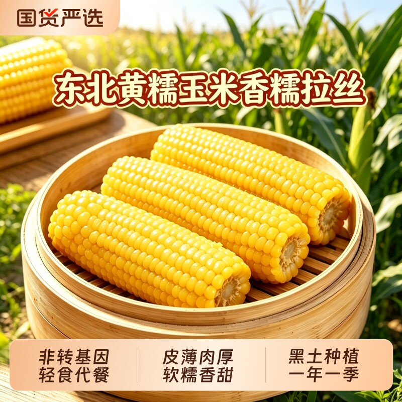 正宗东北头茬玉米甜玉米新鲜黄糯玉米粘苞米10棒真空装轻食代餐