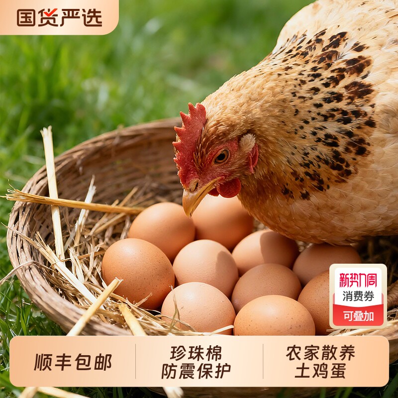 甘肃土鸡蛋60枚正宗农家散养农村新鲜乌柴笨草生鲜鸡蛋 50g/枚