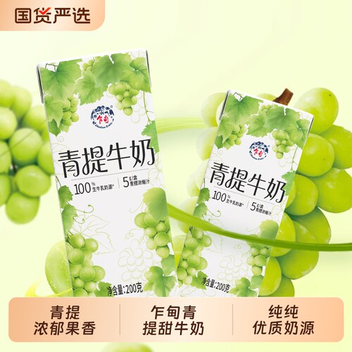 乍甸青提果香味/茉莉花香味甜牛奶200g*8盒*2箱儿童早餐奶礼盒装
