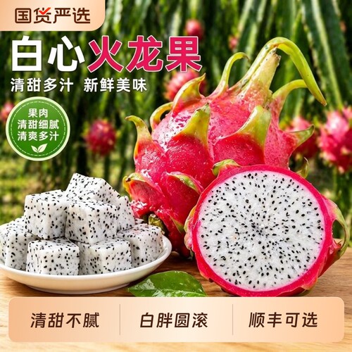 火龙果白心越南进口水果新鲜当季热带整箱发货顺丰可选现摘