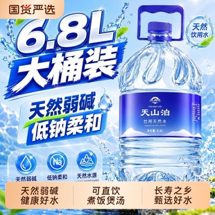 天山泊饮用天然水低钠弱碱丰富巴马泉水