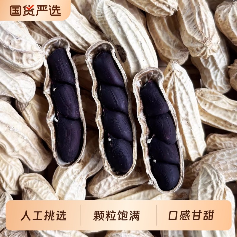 云鲜赞云南黑花生富硒带壳原味晒干坚果黑皮花生25新货特色七彩