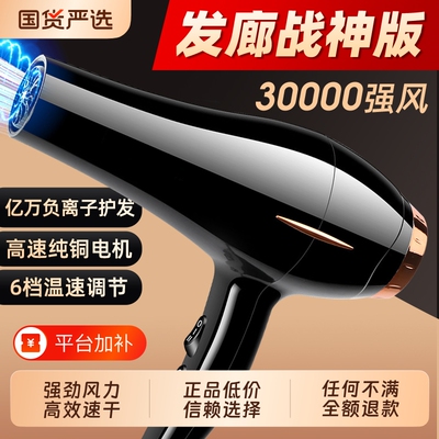 大风力速干发廊款吹风机