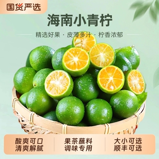 海南小金桔青桔新鲜青柠檬青柑皮薄应季 水果柠檬新鲜5斤金橘 当季