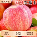 生鲜精品 包邮 新鲜红富士苹果水果苹果应当季 冰糖心脆甜整箱