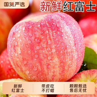 生鲜精品 包邮 新鲜红富士苹果水果苹果应当季 冰糖心脆甜整箱