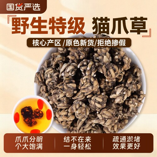 猫爪草中药材猫抓草官方旗舰店野生正品水洗夏枯草泡茶四物汤新鲜
