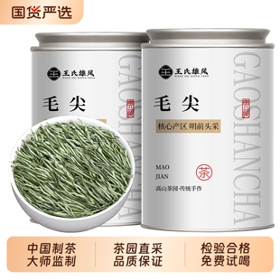 毛尖茶叶2025新茶特级明前嫩芽绿茶高山云雾春茶浓香型茶叶礼盒装