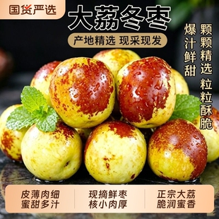 正宗陕西大荔冬枣新鲜大枣5A级大果水果应季顺丰包邮鲜枣现摘