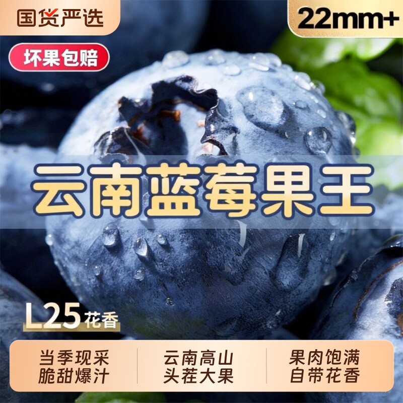 云南蓝莓鲜果新鲜水果当季高山怡颗孕妇大果整箱顺丰包邮花香优选