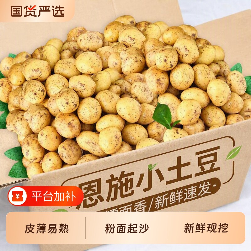恩施小土豆新鲜现挖黄心土豆农家当季蔬菜迷你马铃薯洋芋9斤包邮