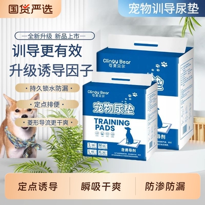 狗狗尿垫小狗引导上厕所宠物隔尿垫除臭加厚吸水背胶尿片定点诱导