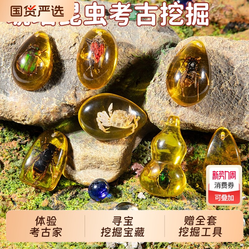 考古挖掘挖宝玩具琥珀昆虫标本挖矿石儿童diy男宝藏寻宝女孩套装